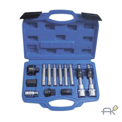 Набор для снятия шкивов генераторов:1/2биты: М10. Т50х110мм. 10мм. биты: М8. М10. Н8. Н10. Т40. Т50x75мм. битодержатель 1/2хF10мм. (13пр.) в кейсе (F-922G8)